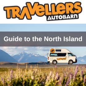 Book Cover - Guide to the North Island