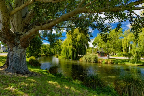 Lake in Christchurch New Zealand