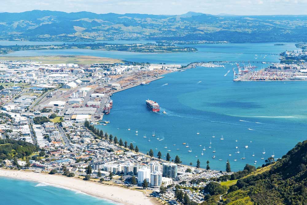 Auckland to Tauranga Drive – 5 Places to Check Out on the Way